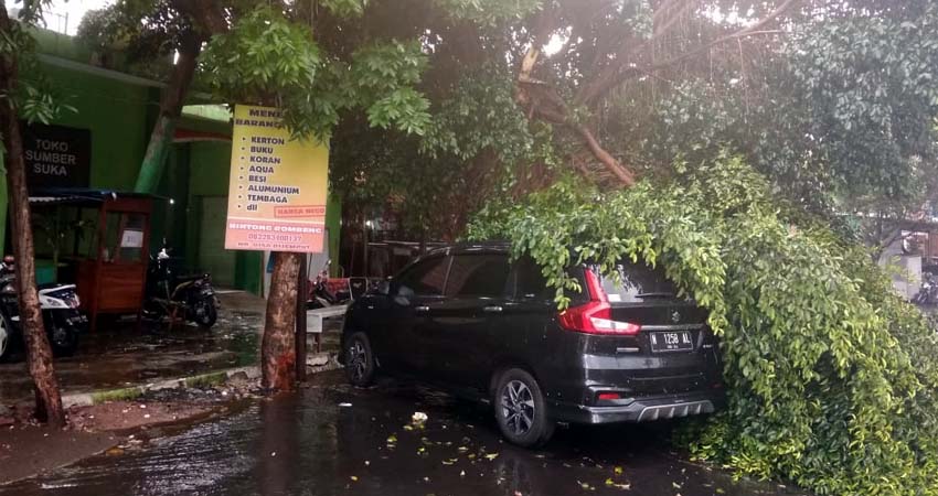 AMBRUK : Jika terjadi angin kencang dan hujan deras supaya tidak memarkir kendaraan dan berteduh di bawah pohon. Foto salah satu pohon tumbang menimpa mobil akibat hujan deras Minggu (24/11/2019) siang. (ist BPBD Kota Malang)