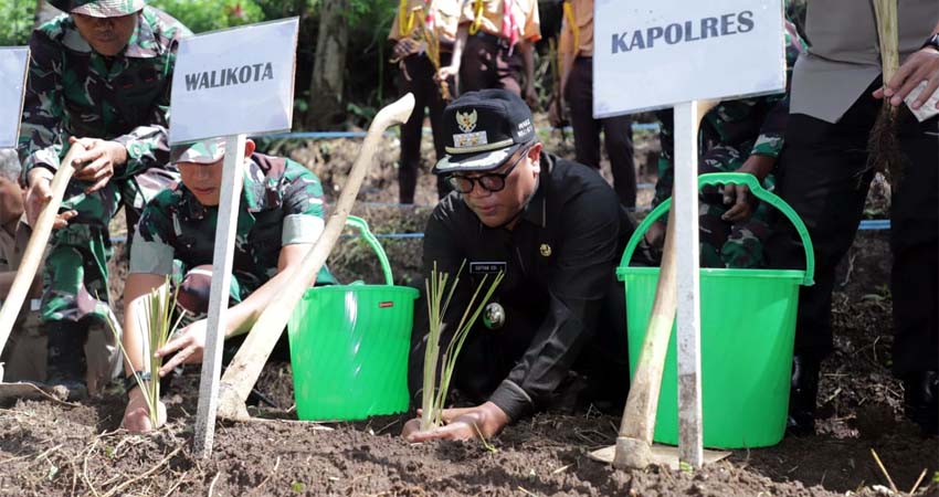 Rumput Vetiver, Solusi Atasi Tanah Longsor di Kota Malang