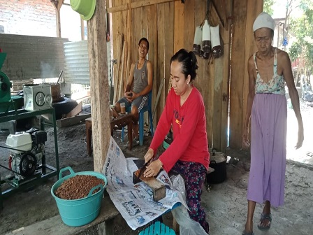 BANGKIT: Keluarga Romim kompak mengolah gula semut dari bahan nira kelapa.