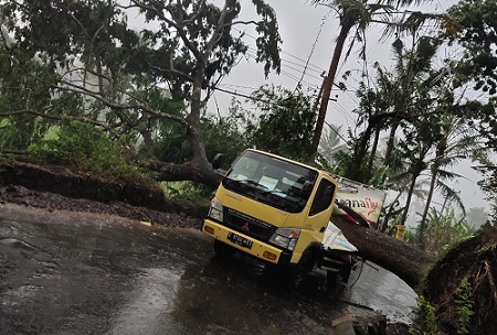 Kondisi truk saat tertimpa pohon. (ist)