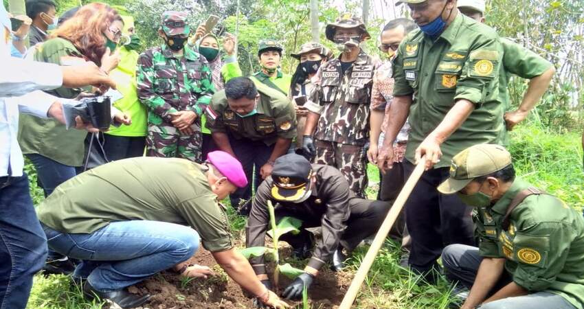 Penanaman pohon pisang jenis cavendish yang digelar Koperasi MNT di Jalan Pelabuhan Tanjung Perak Rt 07 Rw 01, Bakalan Krajan, Kecamatan Sukun, Kota Malang.