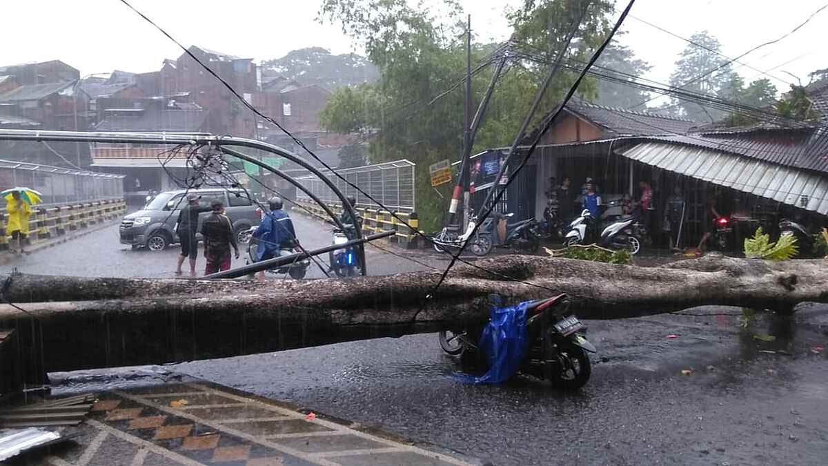 Pohon Tumbang Makan Korban, Pengendara Motor dan Bengkel jadi Sasaran