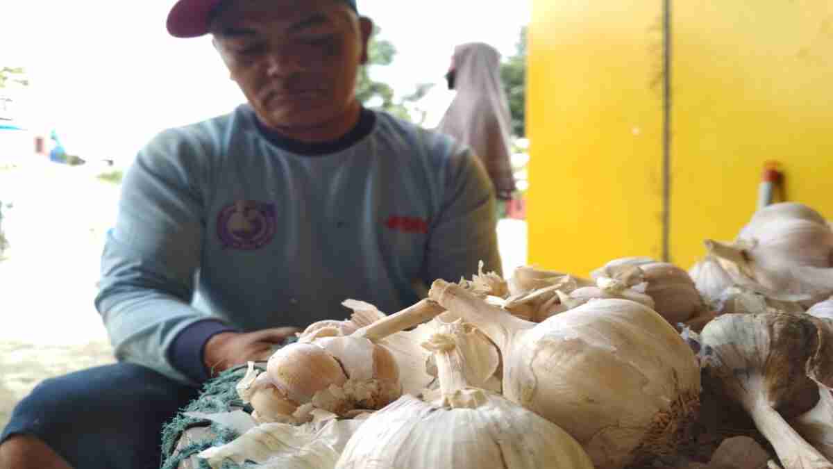 Bulan Ramadhan, Harga Bawang Putih Bergerak Naik