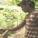 Dusun Baran Kota Malang Sukses Dioptimalkan untuk Budidaya Lebah Klanceng