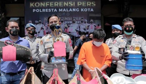 Judi Sabung Ayam Kedungkandang Diobrak, Satu Tersangka dan 86 Motor Diamankan Polisi