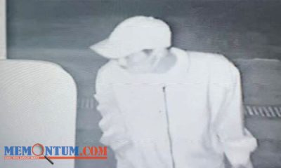 Pelaku Pencurian Alat Pertukangan di Kafe Bukit Delight Kota Malang Terekam CCTV