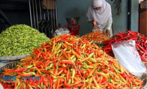 Harga Cabai dan Bawang Sumbang Tingginya Inflasi Kota Malang