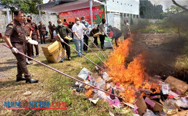 Ganja Sebanyak 66,308 Kilogram dan Sabu Seberat 4,416 Kilogram Dibakar Kejari Kota Malang