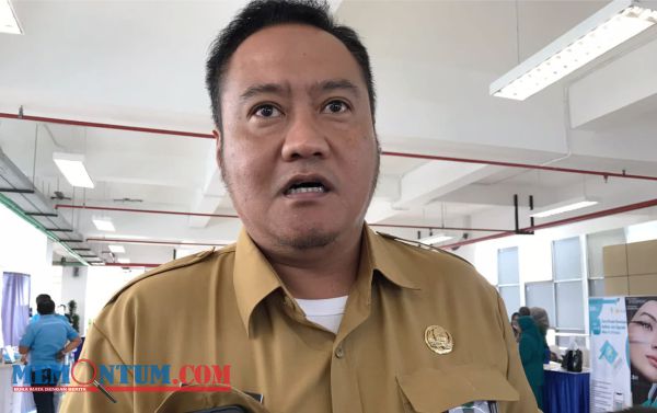 Cegah Pohon Tumbang, DLH Kota Malang Bakal Gandeng Pihak Tiga